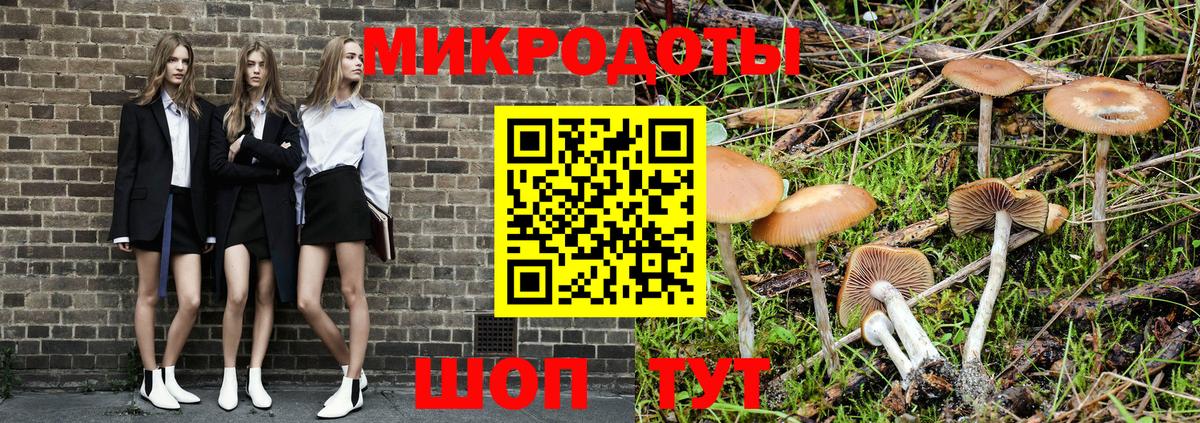 Гулькевичи  Псилоцибиновые грибы ЛСД  Вход с VPN 